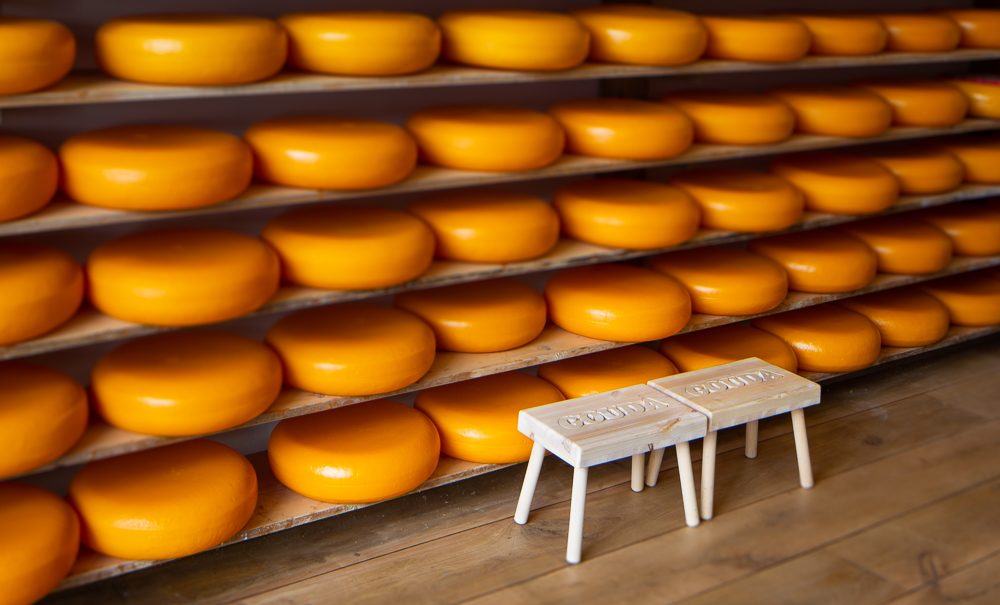 FAQ Gouda Cheese Experience