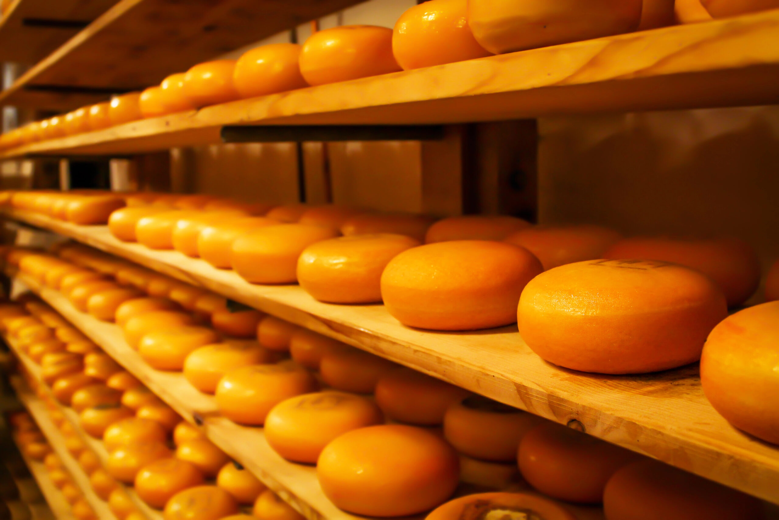 5 myths about Gouda cheese that aren’t true