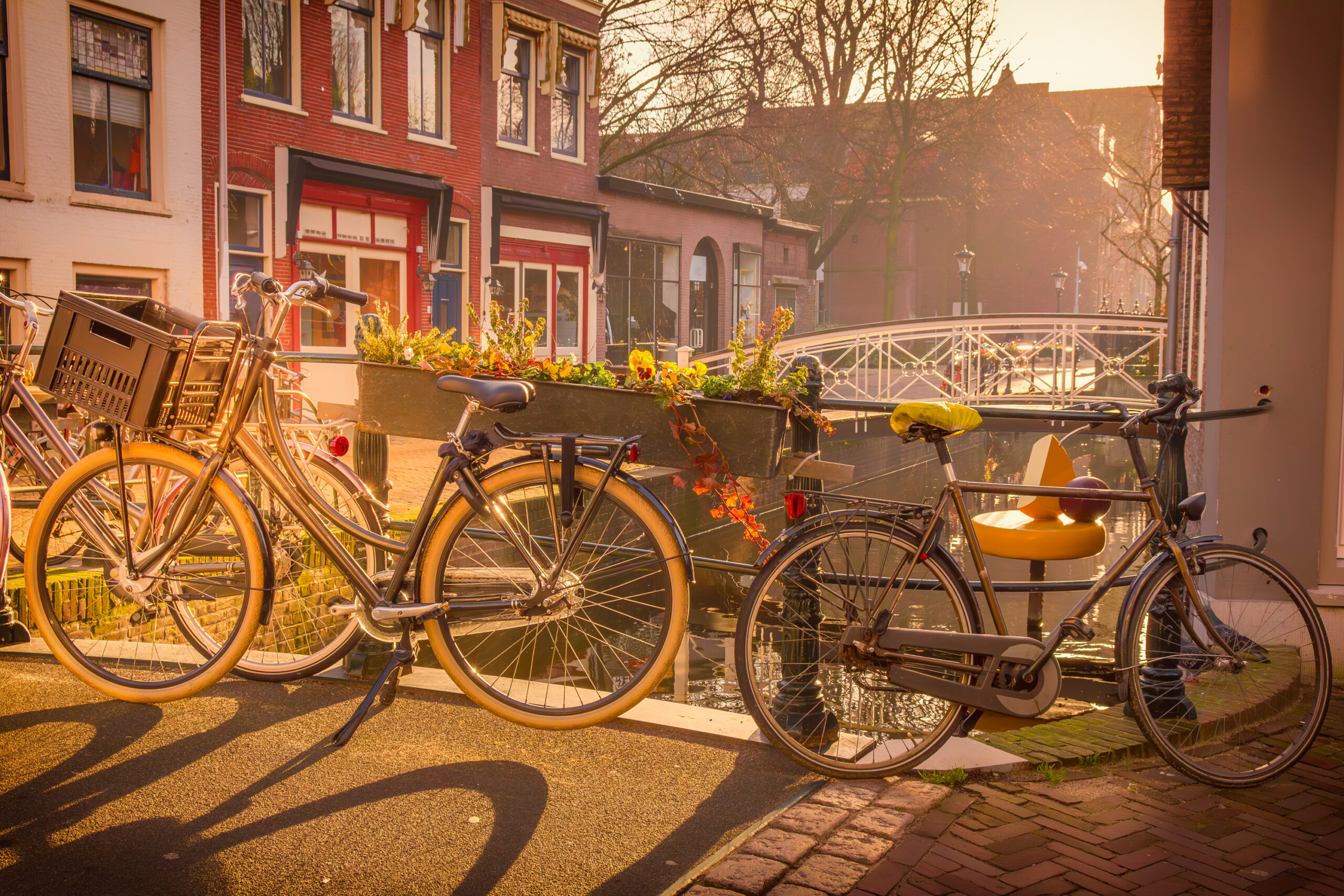 Discover Gouda on two wheels: cycling routes for foodies