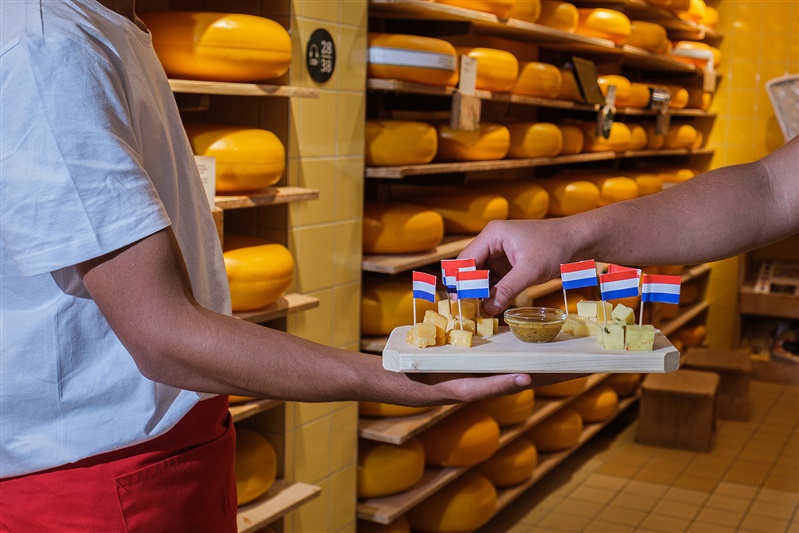 A flavourful journey into herb cheeses